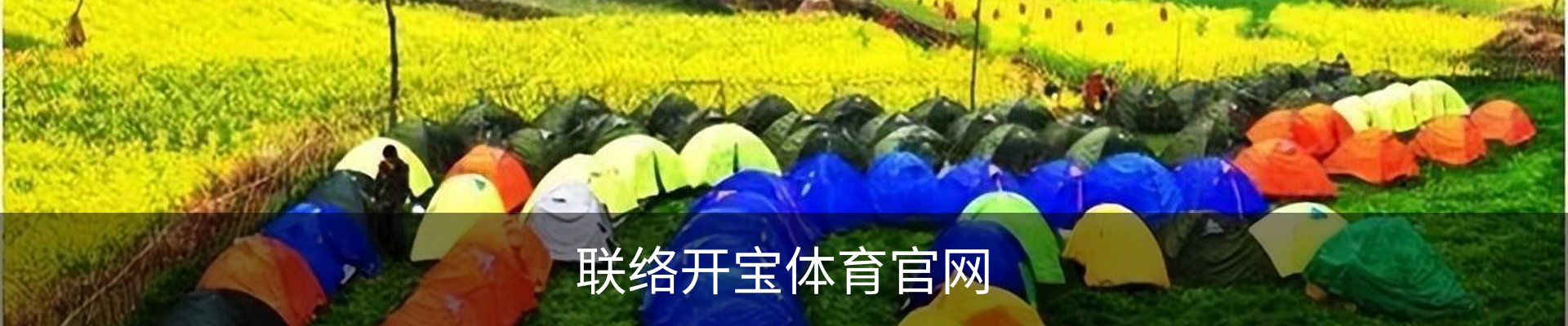 联络开宝体育官网
